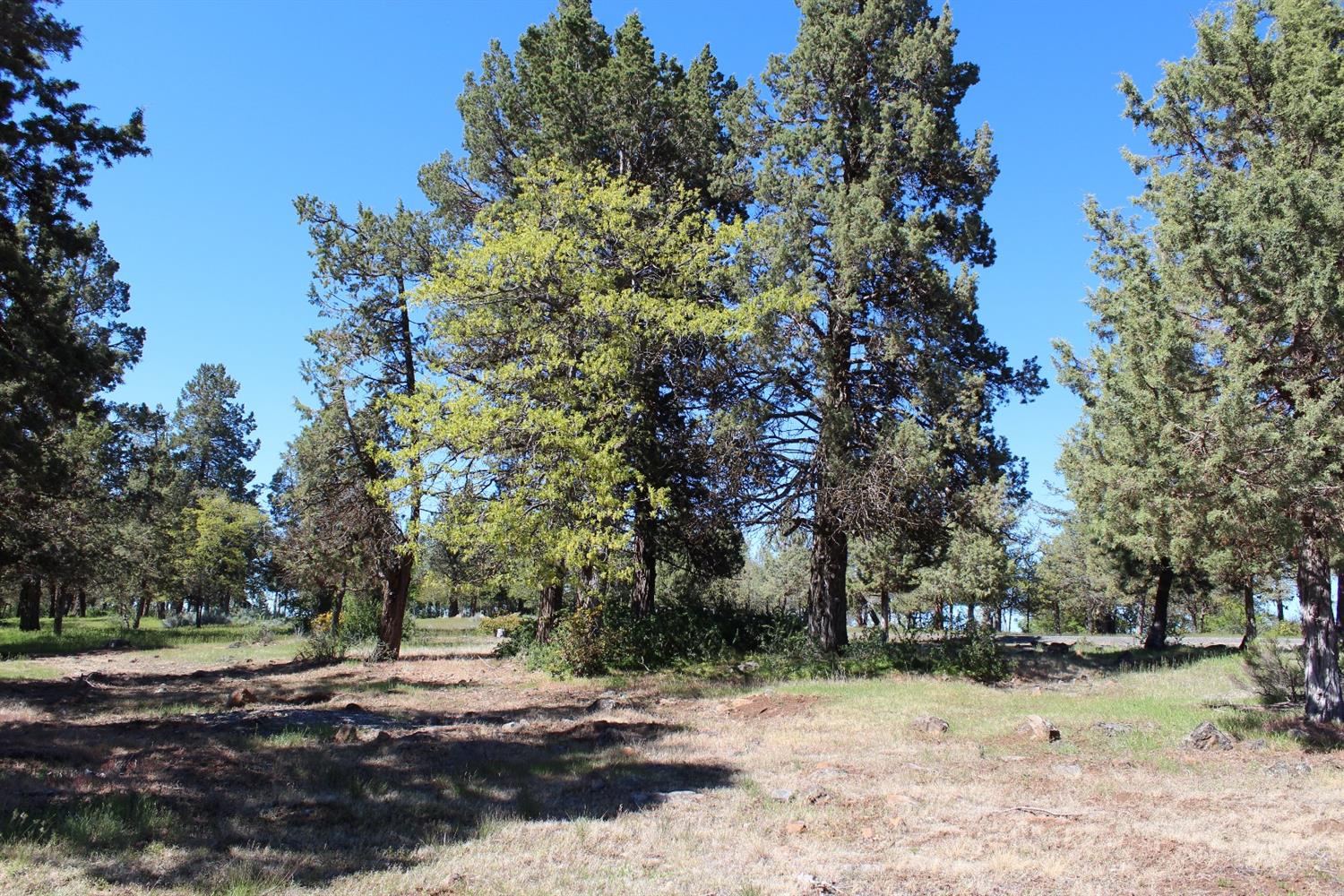 232 Osprey Lane, Klamath Falls, OR 97601