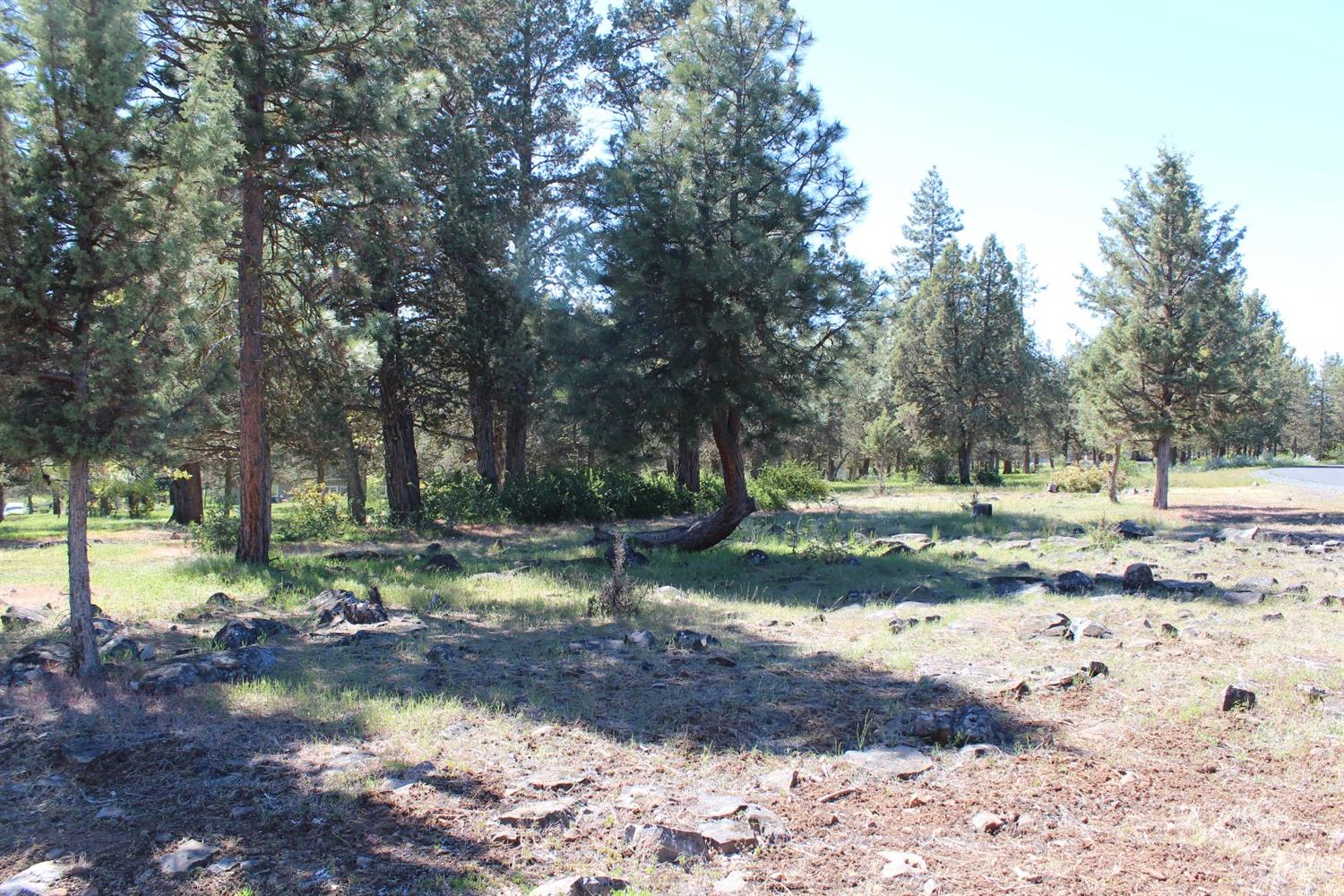 232 Osprey Lane, Klamath Falls, OR 97601