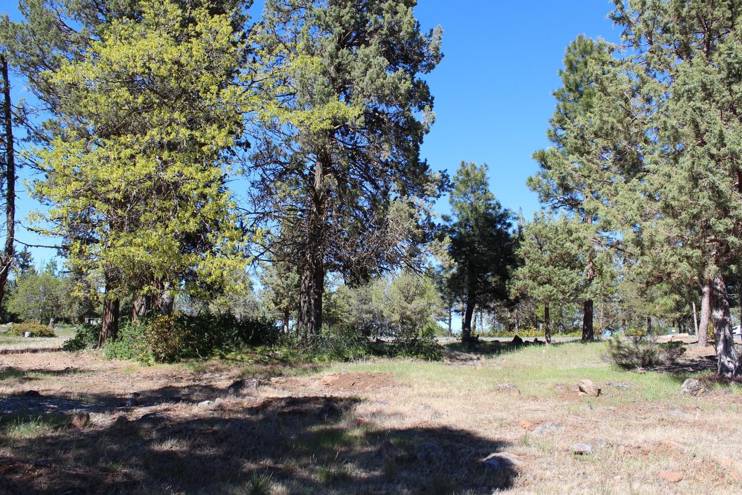 232 Osprey Lane, Klamath Falls, OR 97601