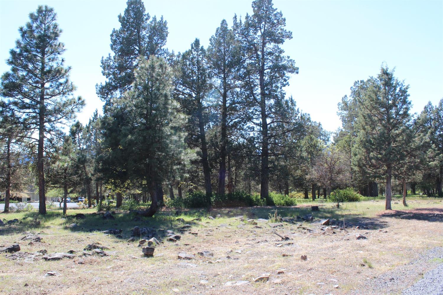 232 Osprey Lane, Klamath Falls, OR 97601