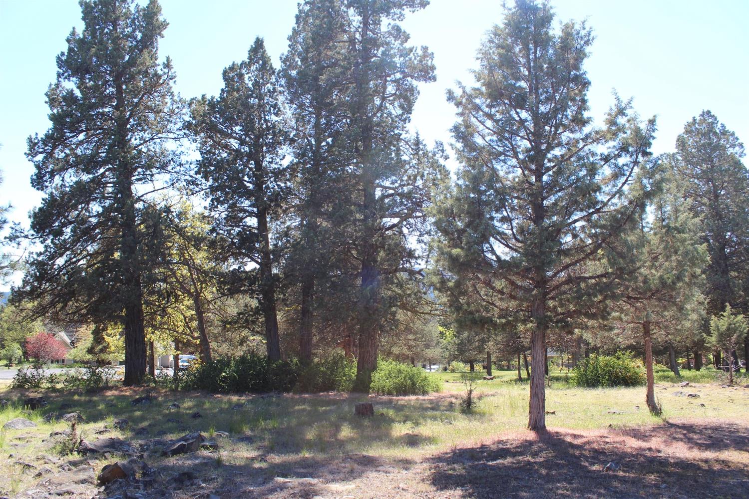 232 Osprey Lane, Klamath Falls, OR 97601