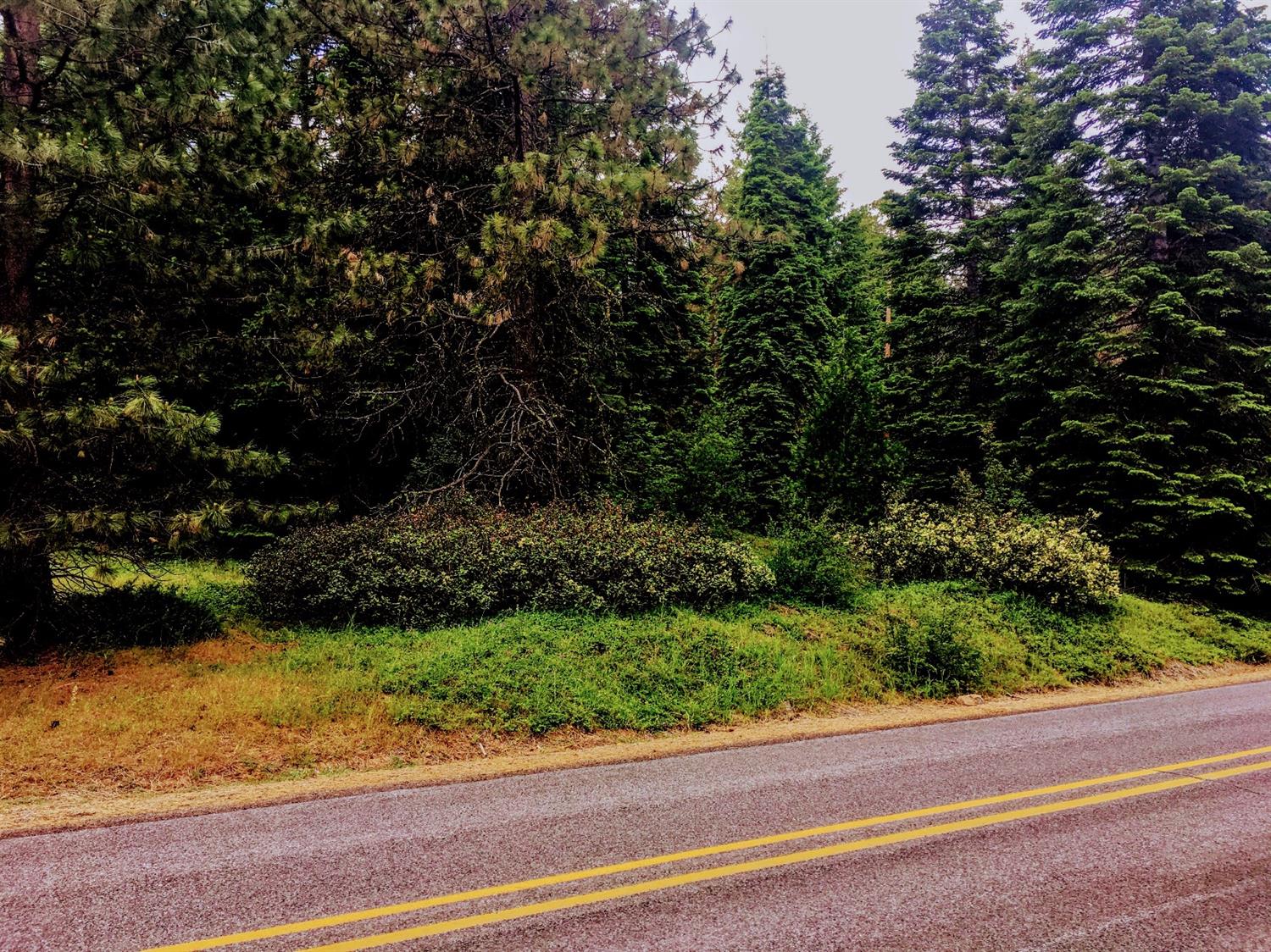 0 Rocky Point Road, Rocky Point, OR 97601