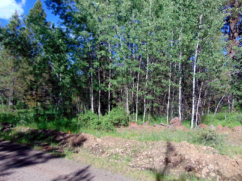 Lot 15 Mountain Lakes Drive, Klamath Falls, OR 97603