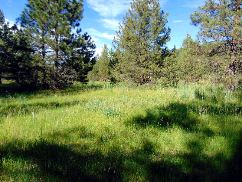 Lot 15 Mountain Lakes Drive, Klamath Falls, OR 97603