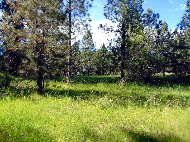 Lot 15 Mountain Lakes Drive, Klamath Falls, OR 97603