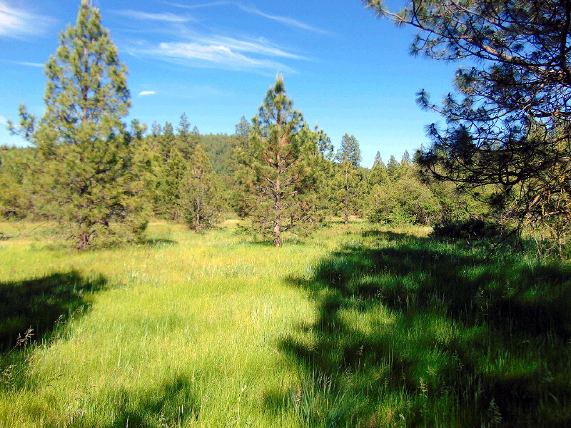 Lot 15 Mountain Lakes Drive, Klamath Falls, OR 97603