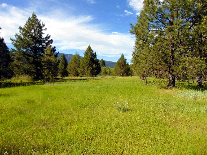 Lot 15 Mountain Lakes Drive, Klamath Falls, OR 97603