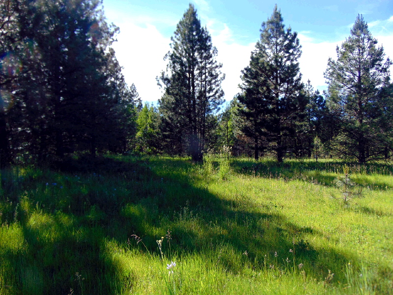 Lot 15 Mountain Lakes Drive, Klamath Falls, OR 97603