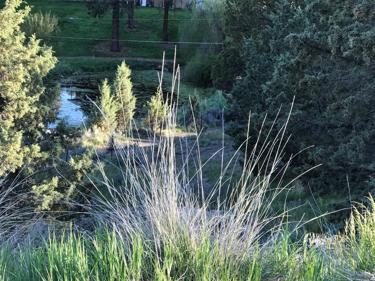 0 Vale Lot 3100 Road, Klamath Falls, OR 97603