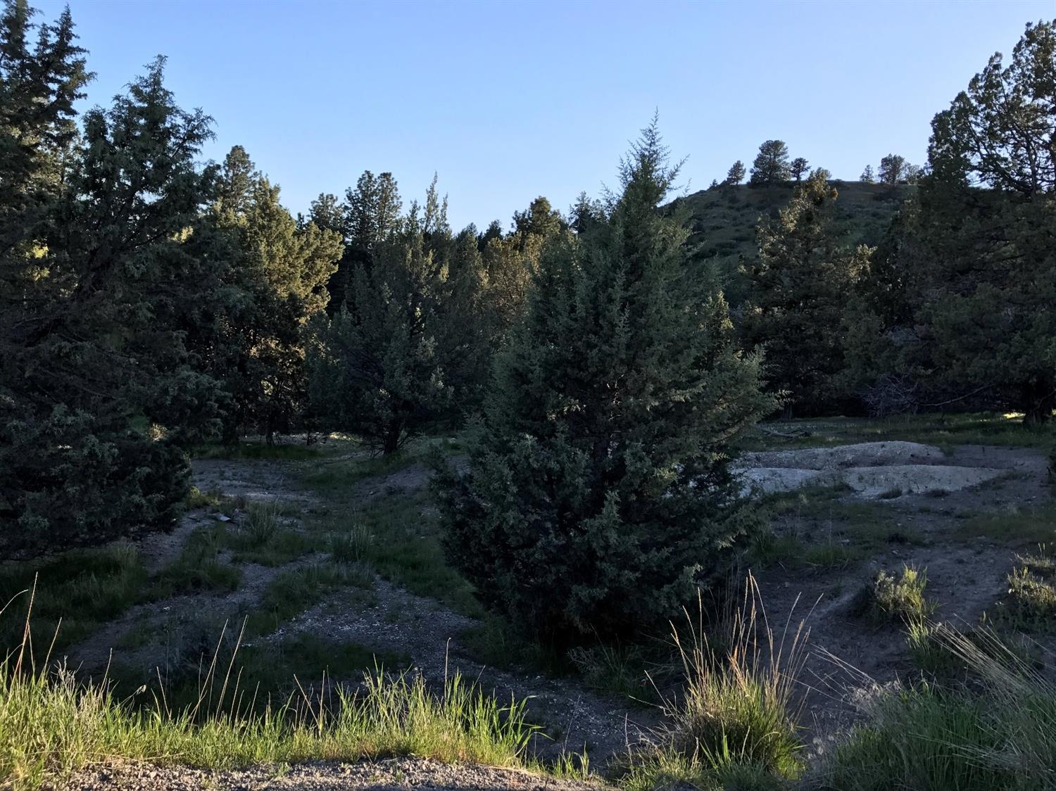 0 Vale Lot 3100 Road, Klamath Falls, OR 97603