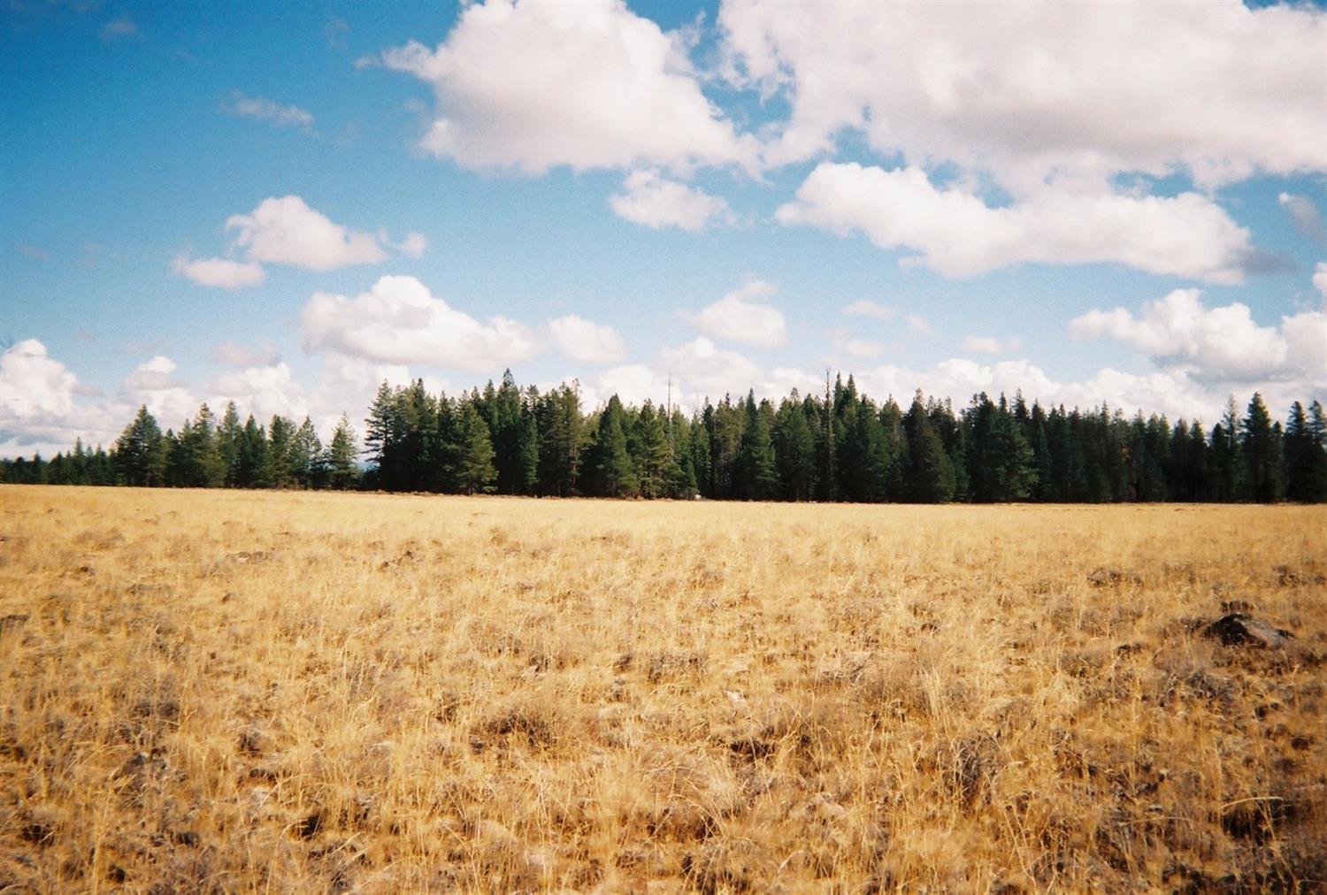 0 Lot 3900 White Oak Lane, Beatty, OR 97621