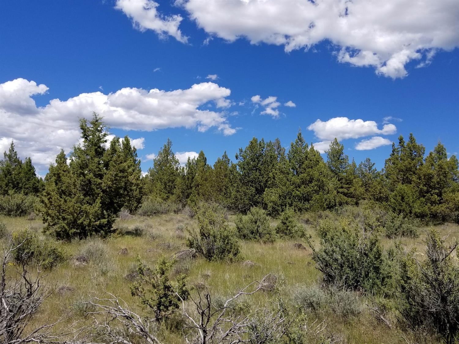 0 Forest Service Road #3716, Bly, OR 97622