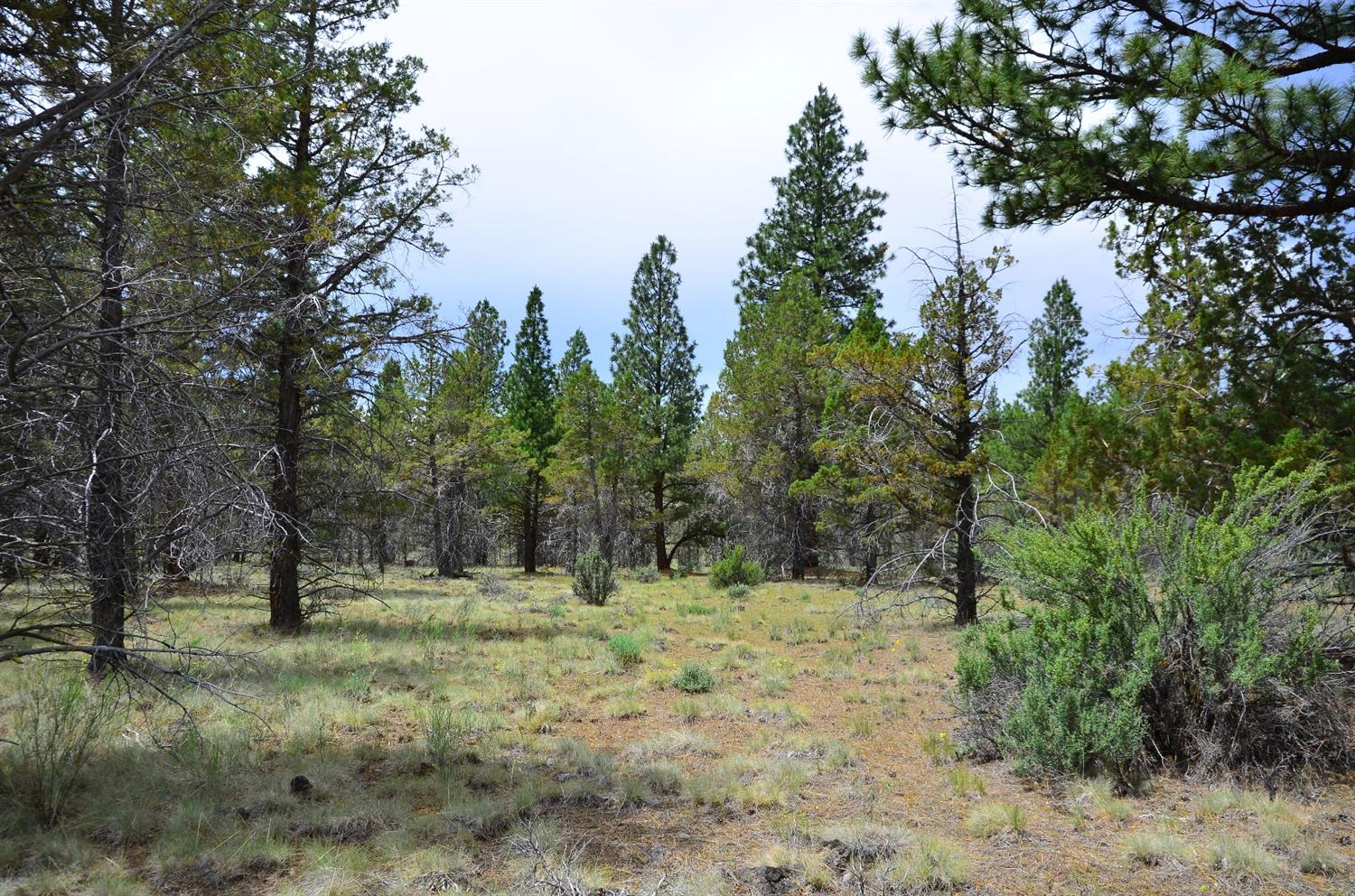 0 Fishhole Creek, Bly, OR 97622