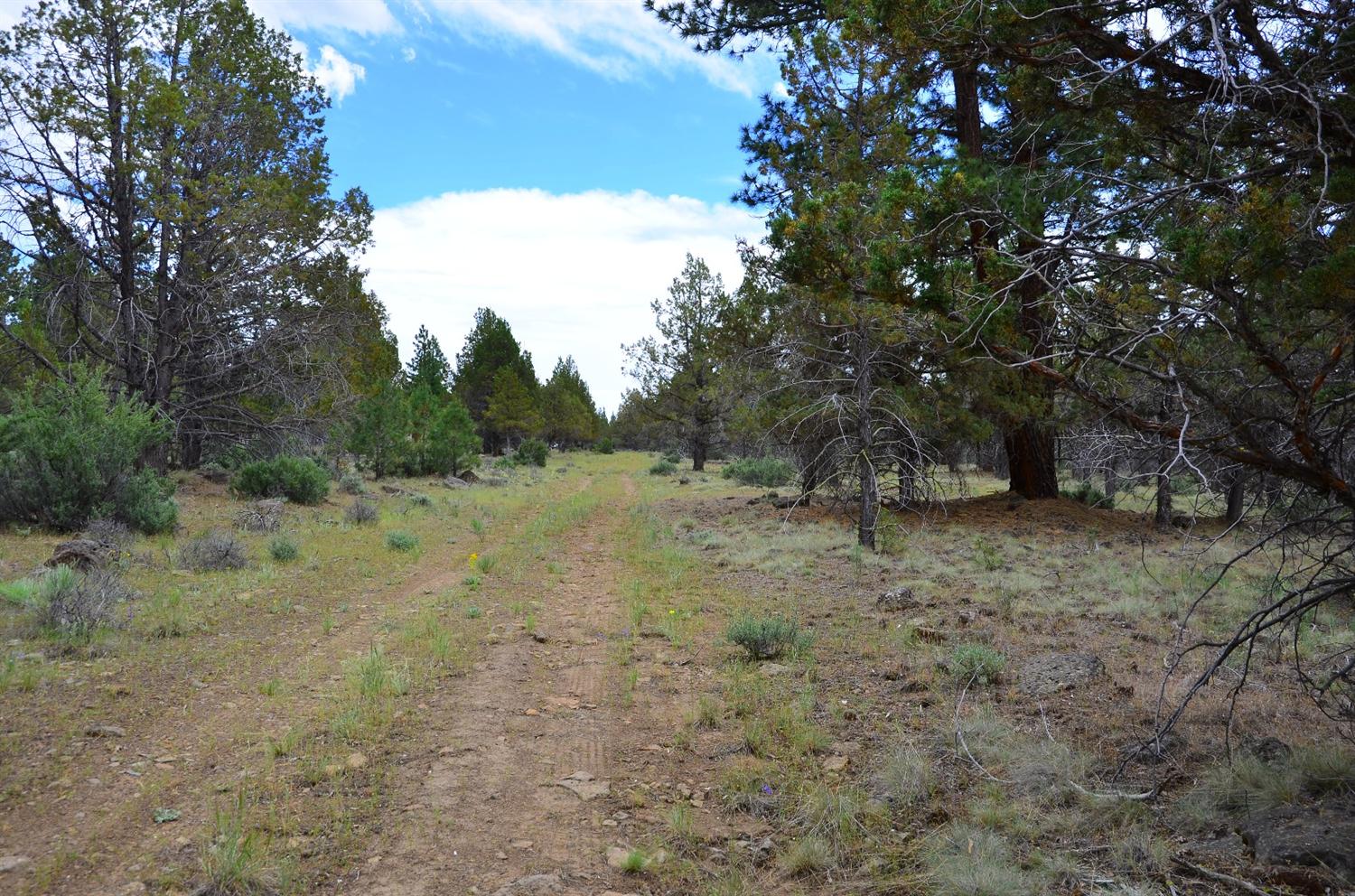 0 Fishhole Creek, Bly, OR 97622