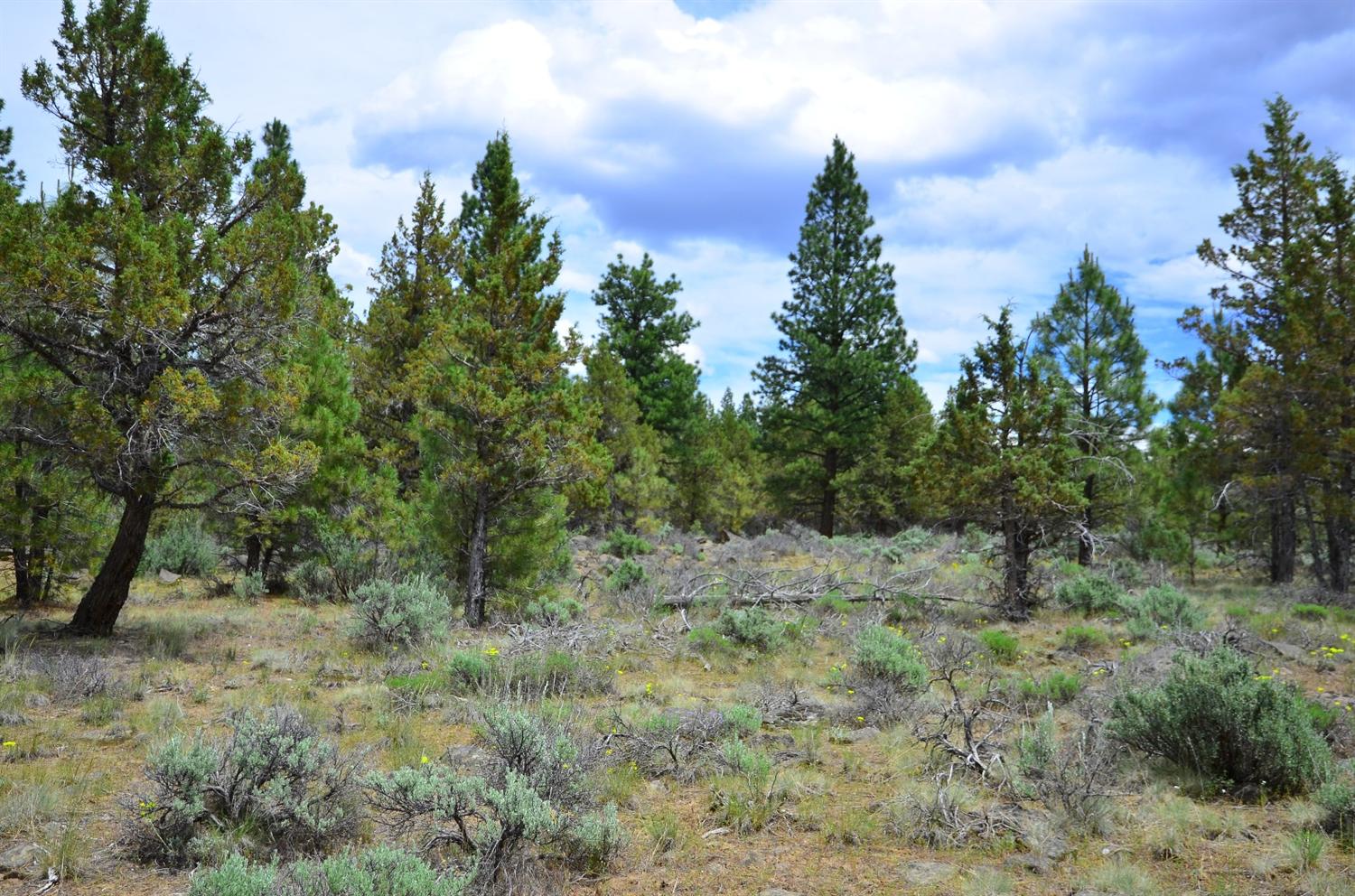 0 Fishhole Creek, Bly, OR 97622