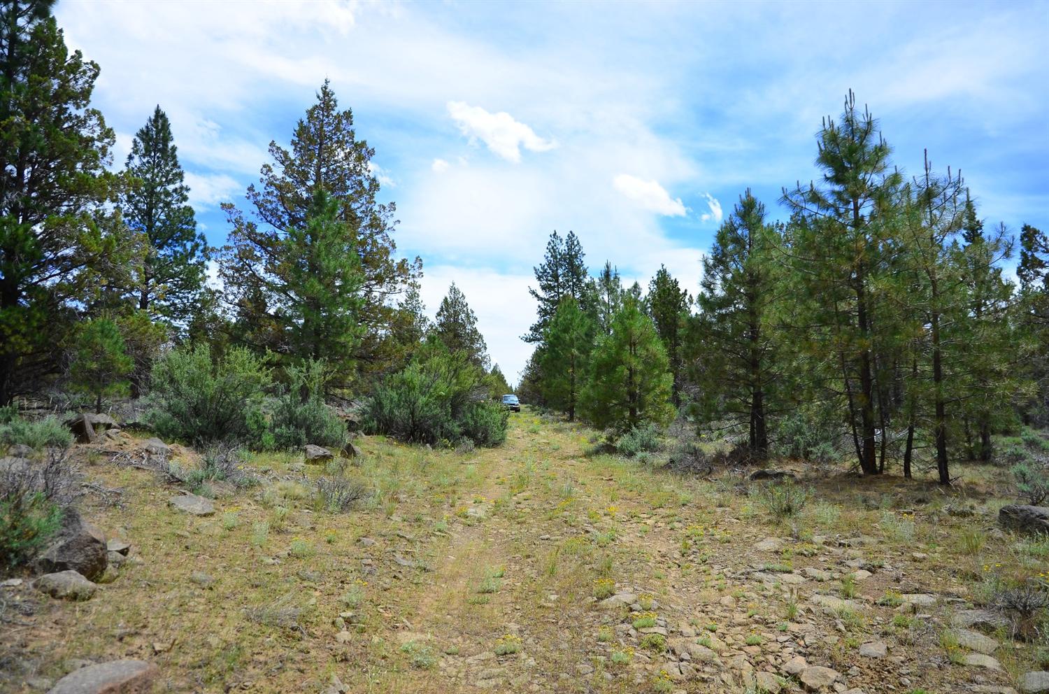 0 Fishhole Creek, Bly, OR 97622