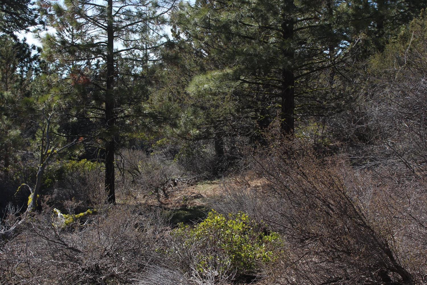 0 Bunting Lot 9 Drive, Bonanza, OR 97623