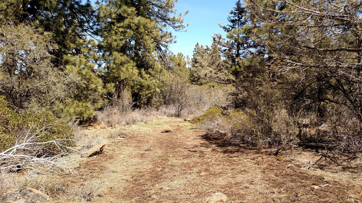 0 Lot 34 Hummingbird Drive, Bonanza, OR 97623