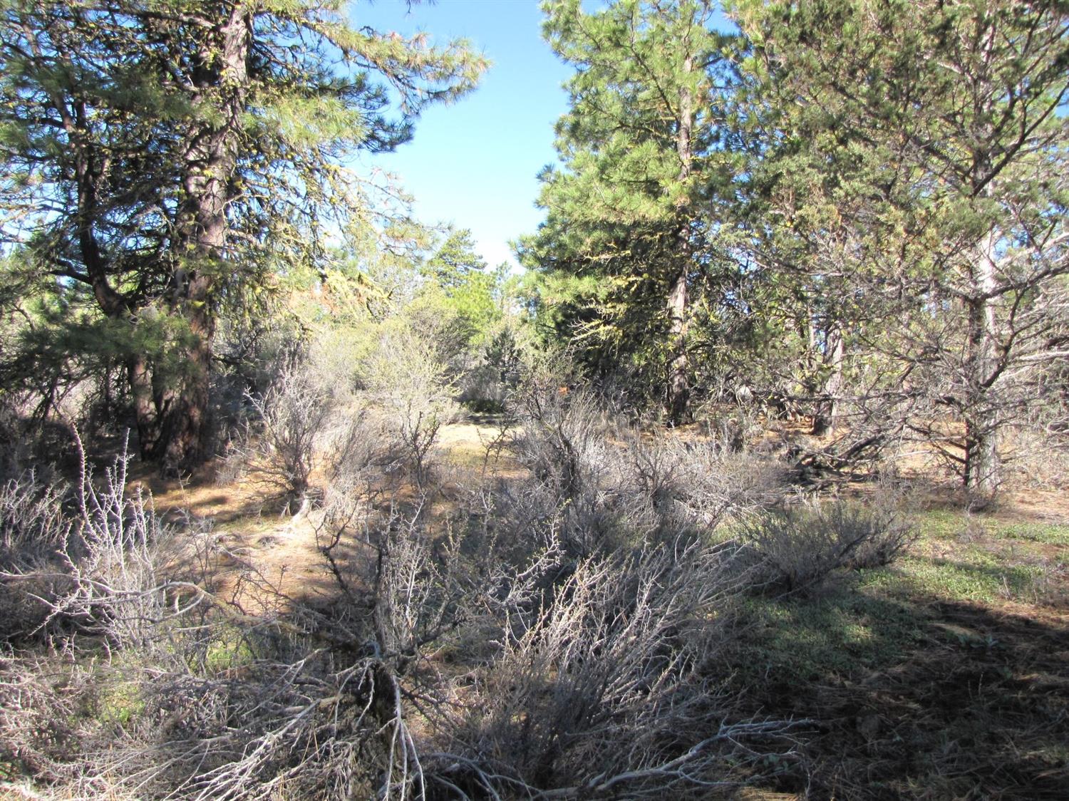 0 Lot 34 Hummingbird Drive, Bonanza, OR 97623