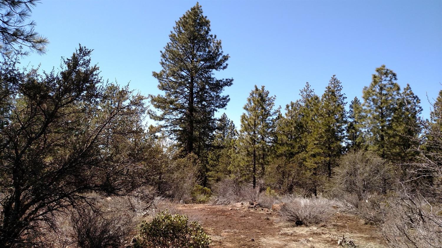 0 Lot 11 Bunting Drive, Bonanza, OR 97623