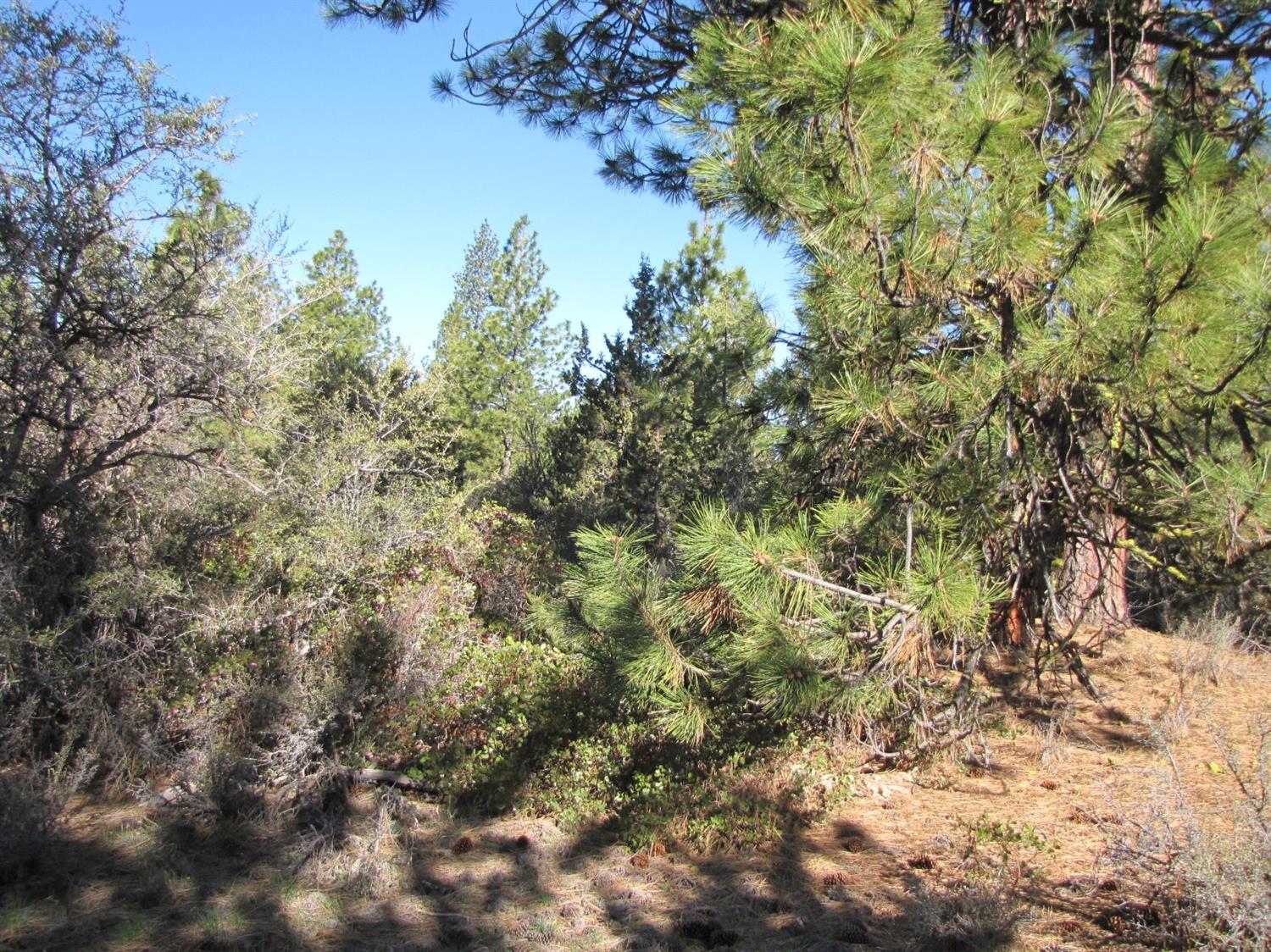 0 Lot 11 Bunting Drive, Bonanza, OR 97623