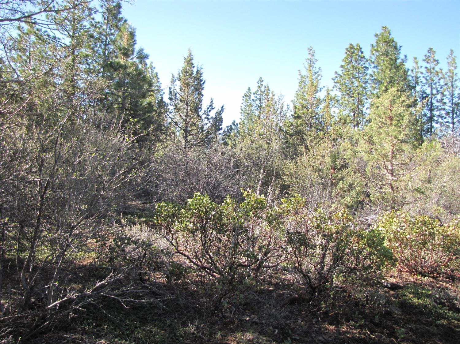 0 Lot 11 Bunting Drive, Bonanza, OR 97623