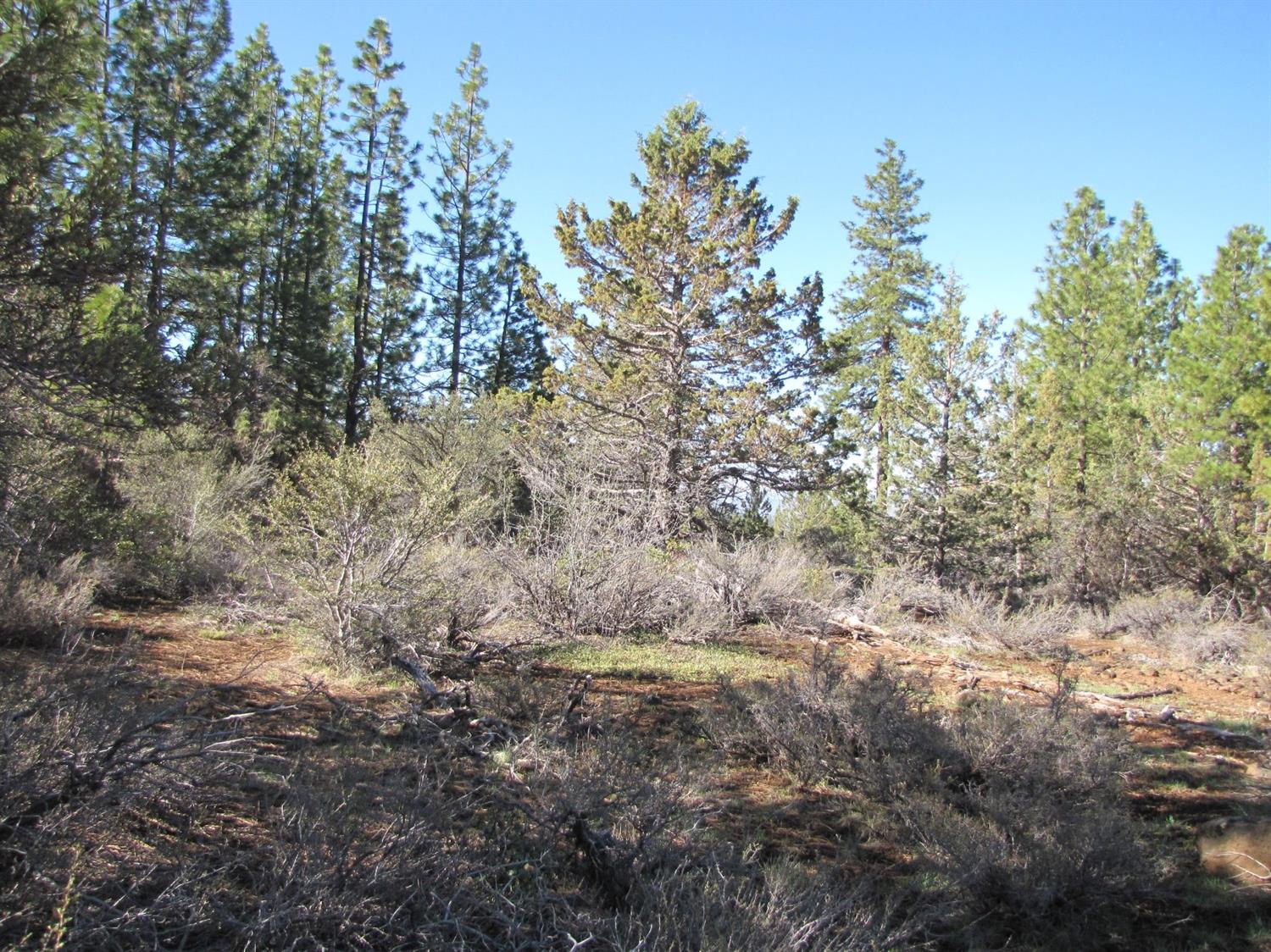 0 Lot 11 Bunting Drive, Bonanza, OR 97623