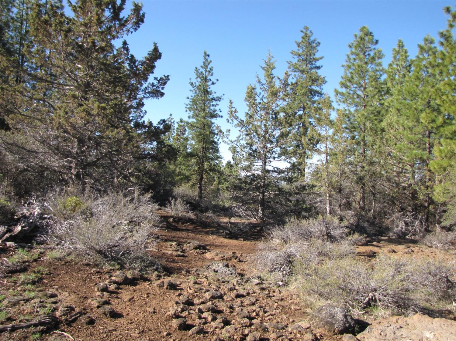 0 Lot 11 Bunting Drive, Bonanza, OR 97623
