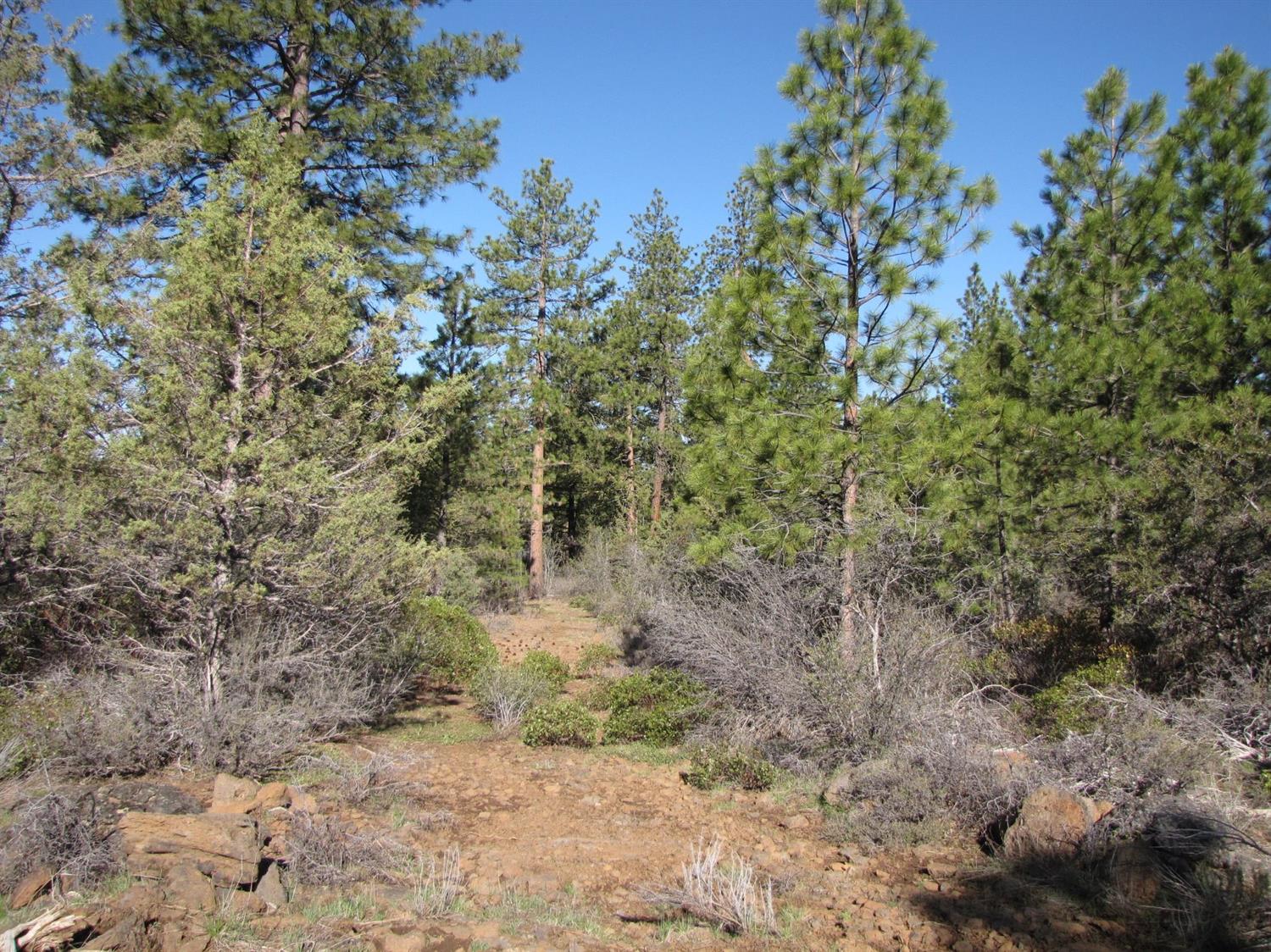 0 Lot 11 Bunting Drive, Bonanza, OR 97623