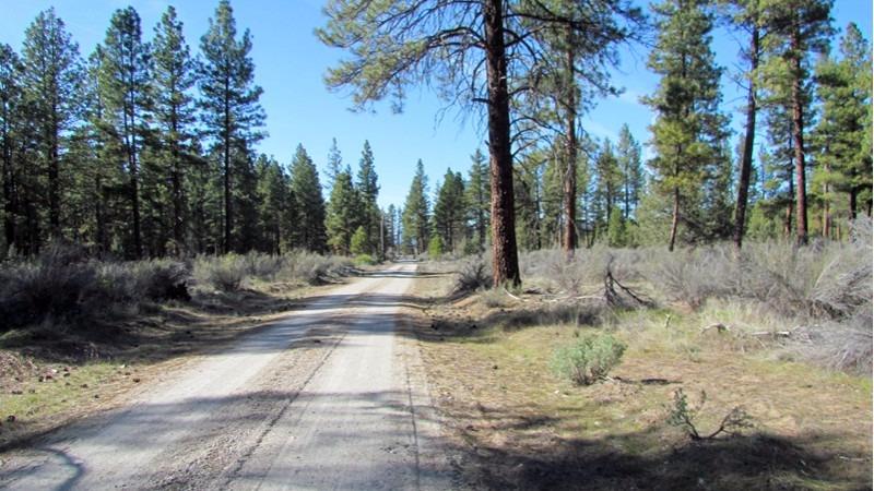 0 Lot 12 Buffleheaded, Bonanza, OR 97623