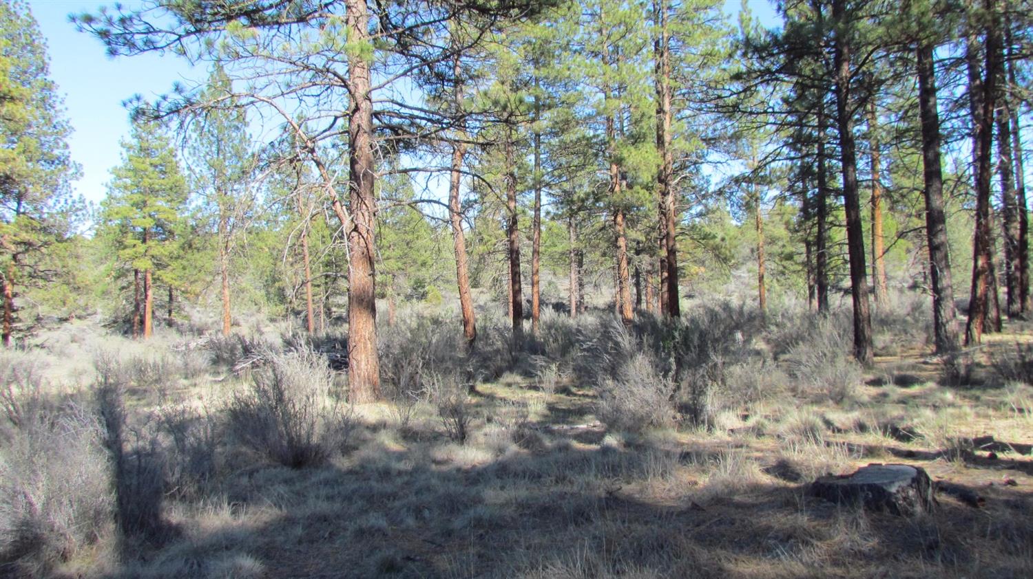 0 Lot 12 Buffleheaded, Bonanza, OR 97623