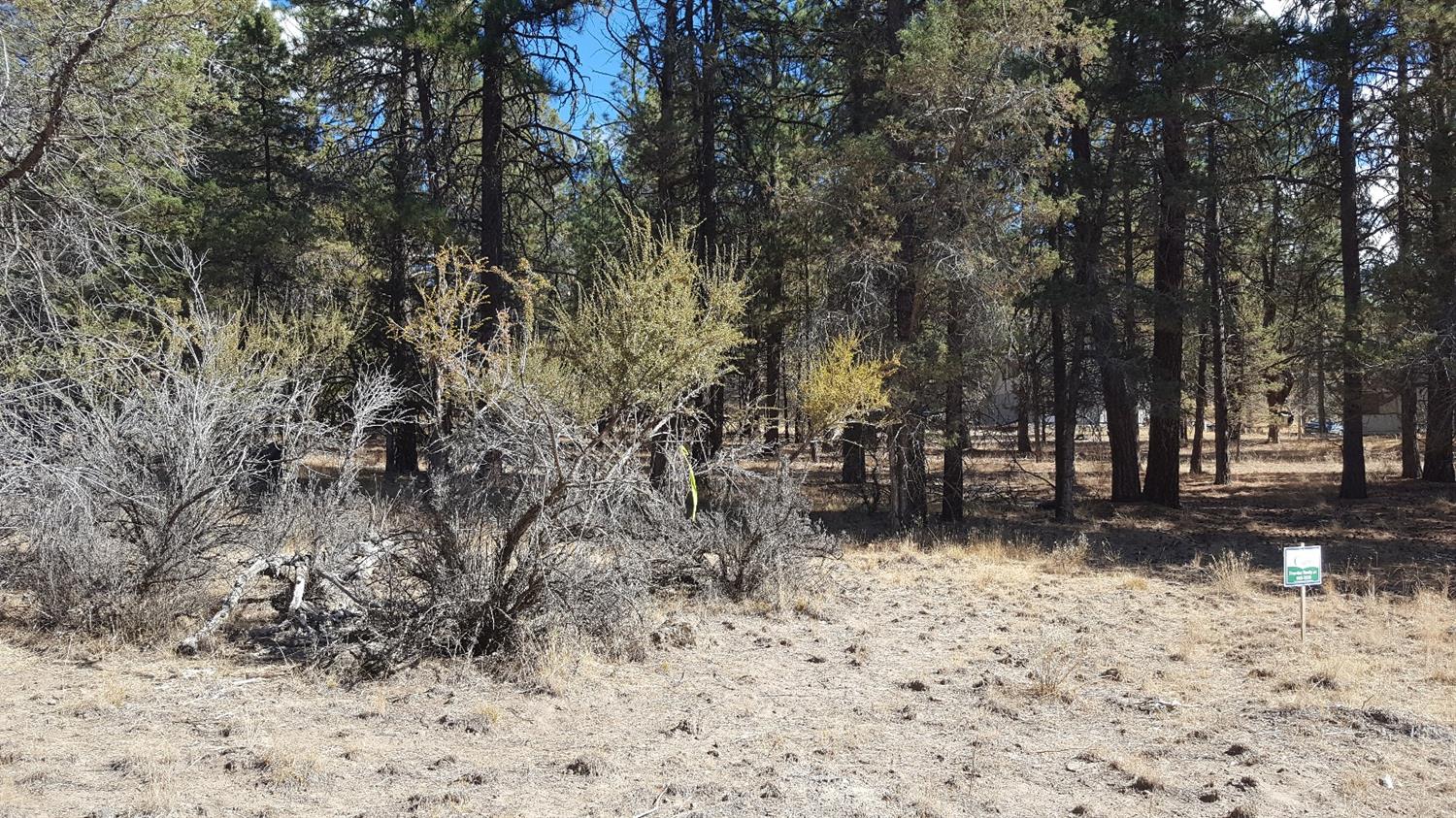 9279 Spoonbill, Bonanza, OR 97623
