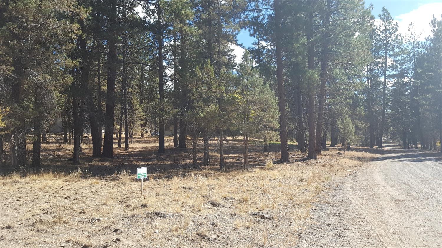 9279 Spoonbill, Bonanza, OR 97623