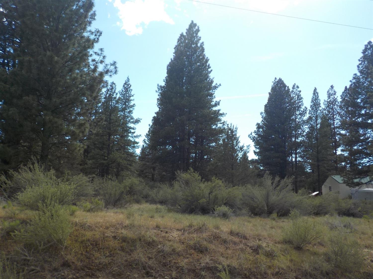 29 Teal Drive, Bonanza, OR 97623