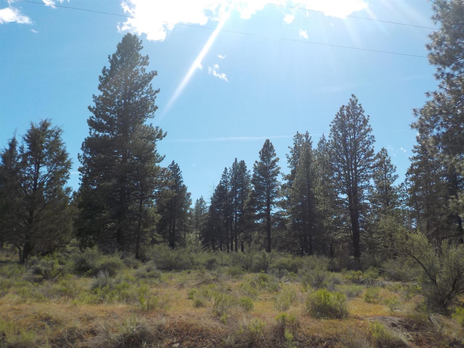 29 Teal Drive, Bonanza, OR 97623