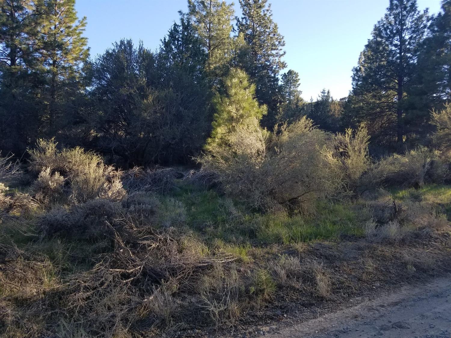0 Bluebill Lane, Bonanza, OR 97623
