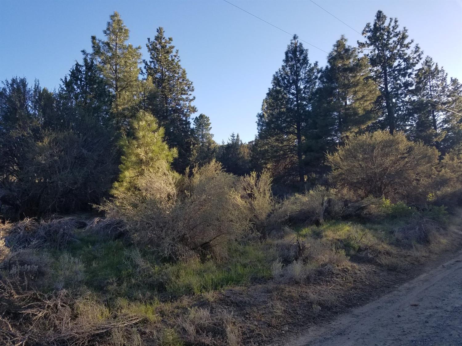 0 Bluebill Lane, Bonanza, OR 97623