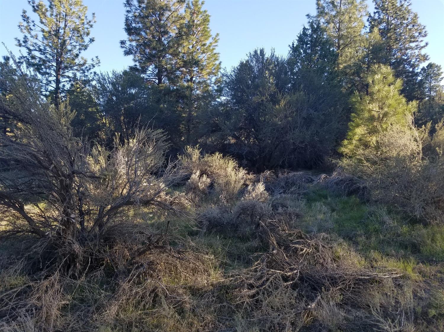 0 Bluebill Lane, Bonanza, OR 97623