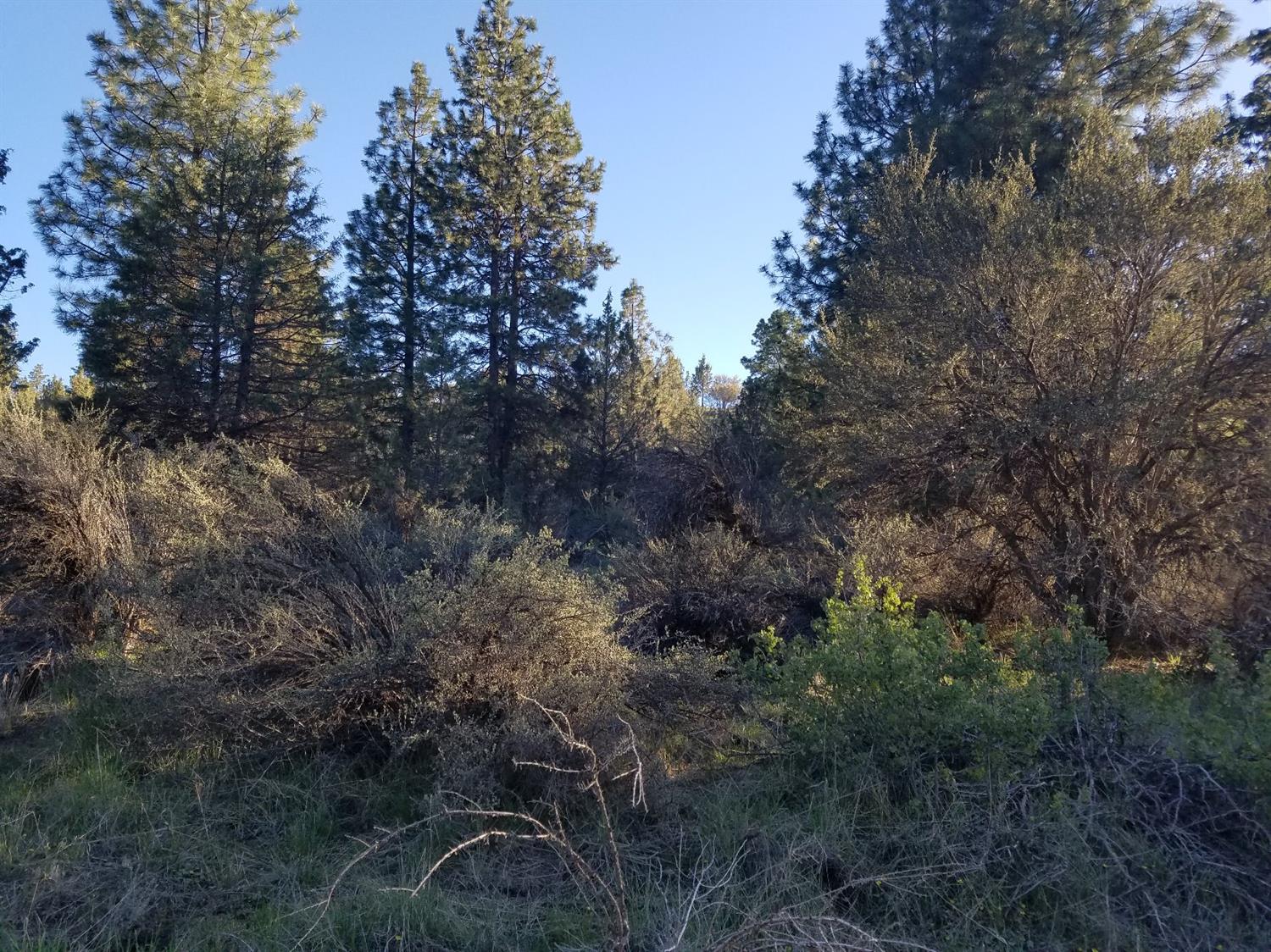 0 Bluebill Lane, Bonanza, OR 97623