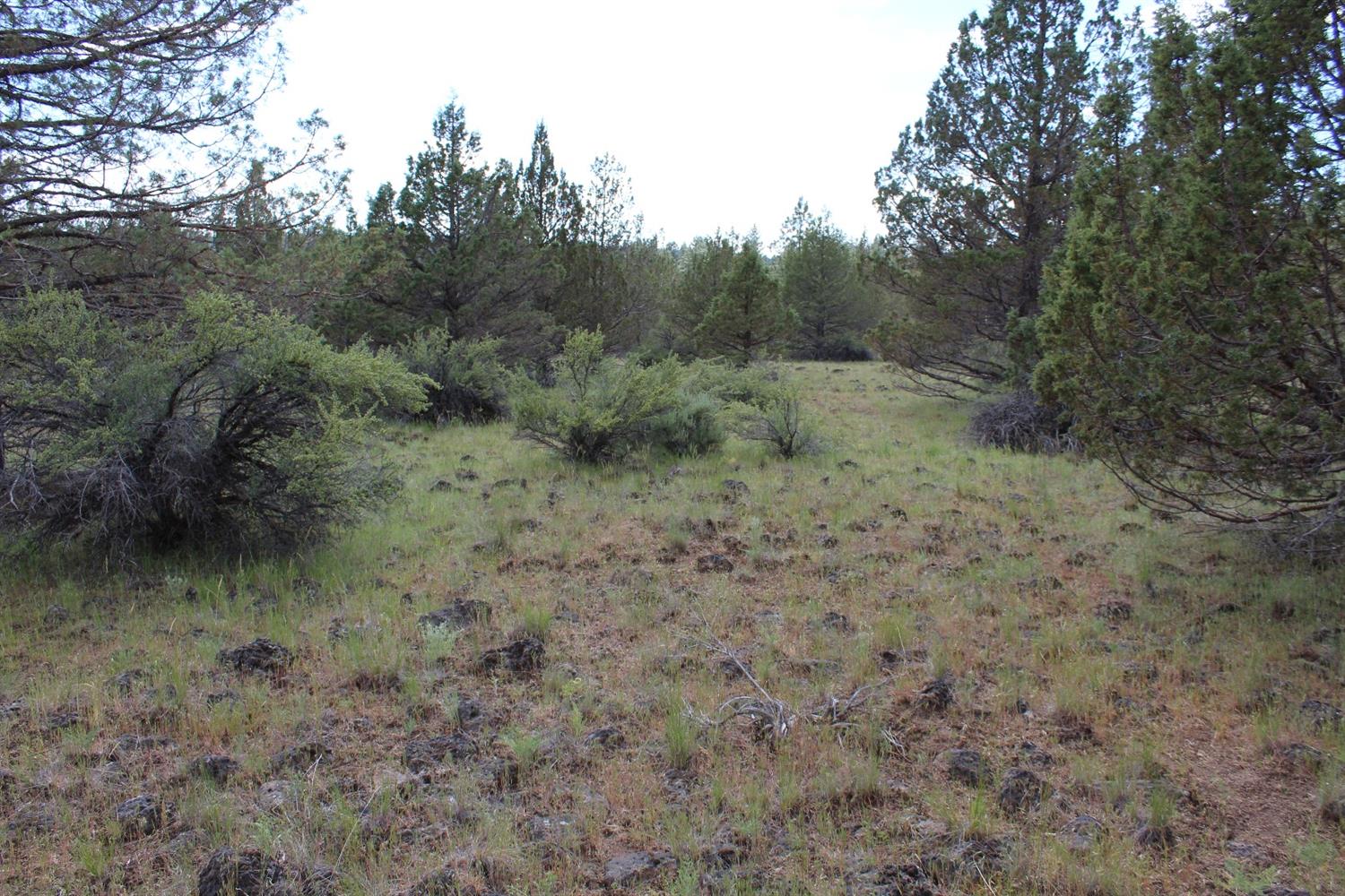 0 Blue Heron Drive, Bonanza, OR 97623