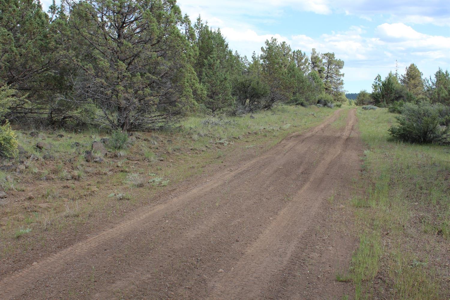 0 Blue Heron Drive, Bonanza, OR 97623