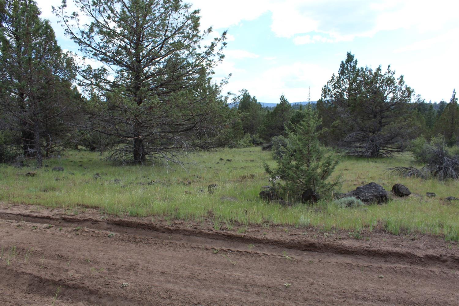 0 Blue Heron Drive, Bonanza, OR 97623