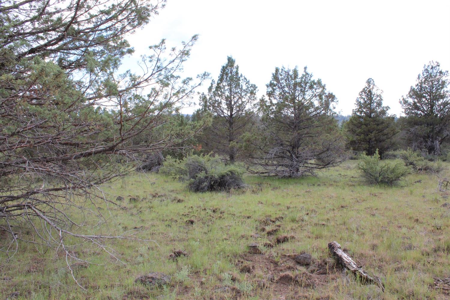 0 Blue Heron Drive, Bonanza, OR 97623