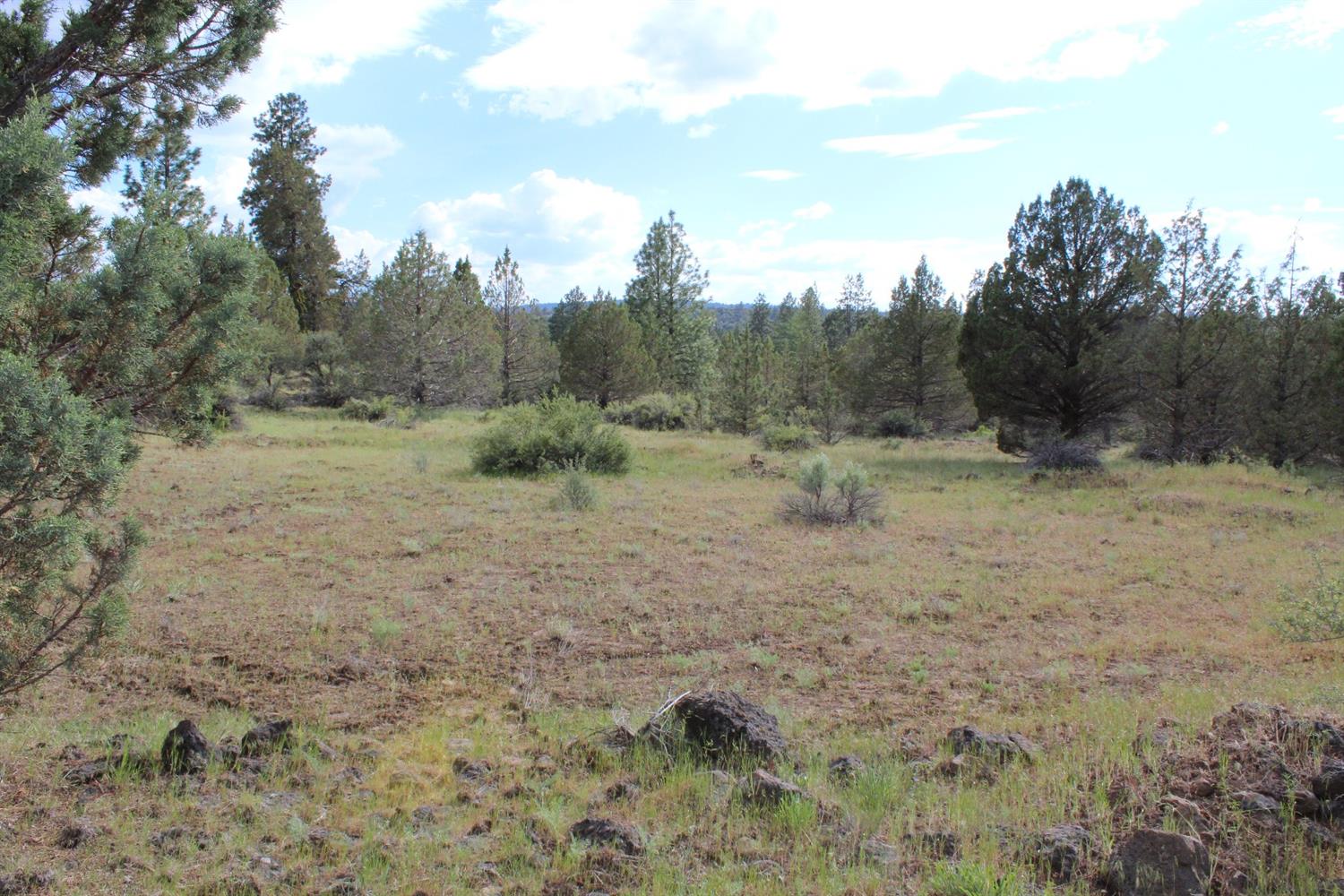 0 Blue Heron Drive, Bonanza, OR 97623