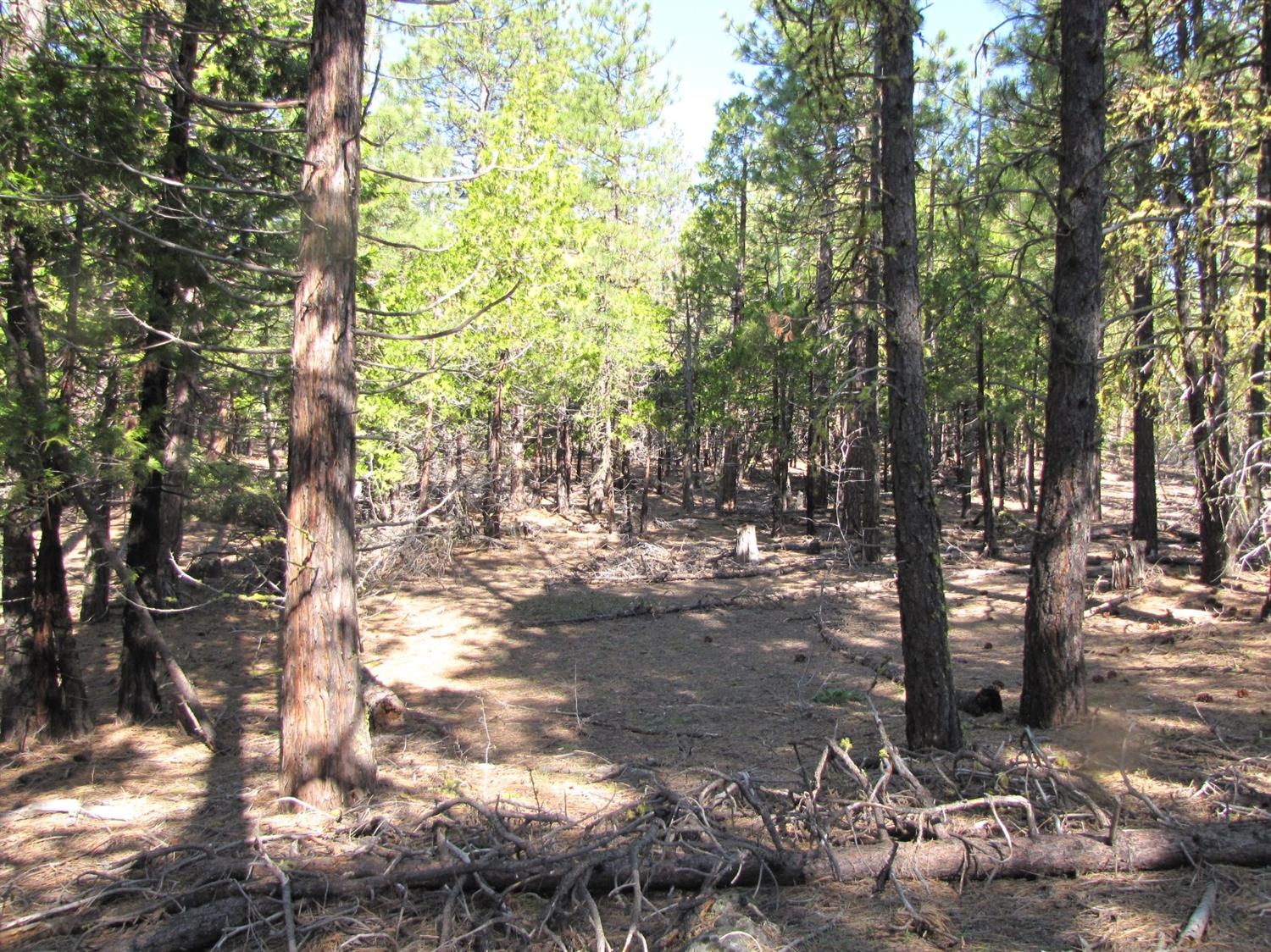 30937 Porpoise Lane, Bonanza, OR 97623