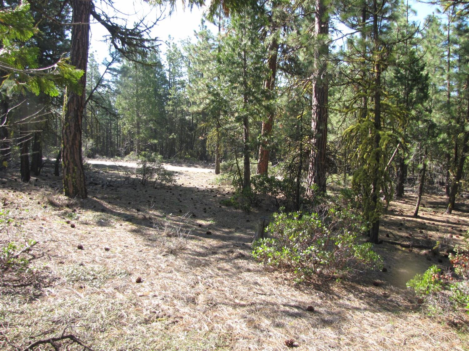 30937 Porpoise Lane, Bonanza, OR 97623