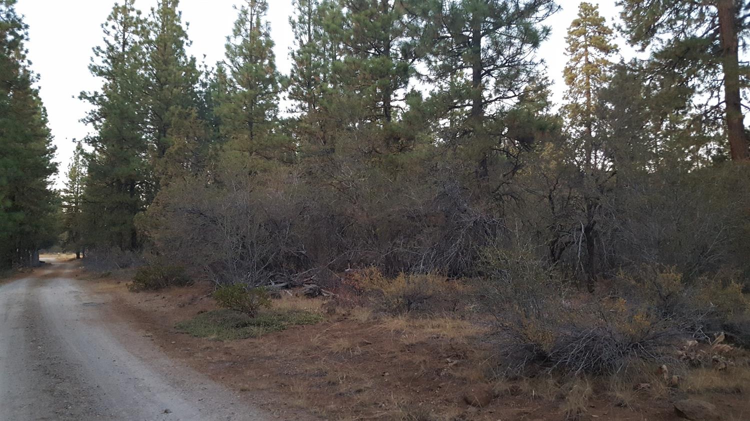 0 Chickadee Drive, Lots 2 & 3, Bonanza, OR 97623
