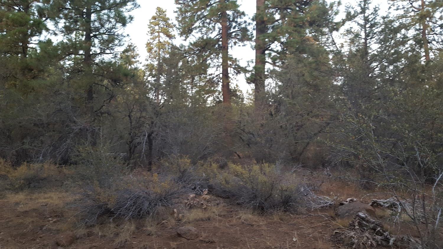 0 Chickadee Drive, Lots 2 & 3, Bonanza, OR 97623