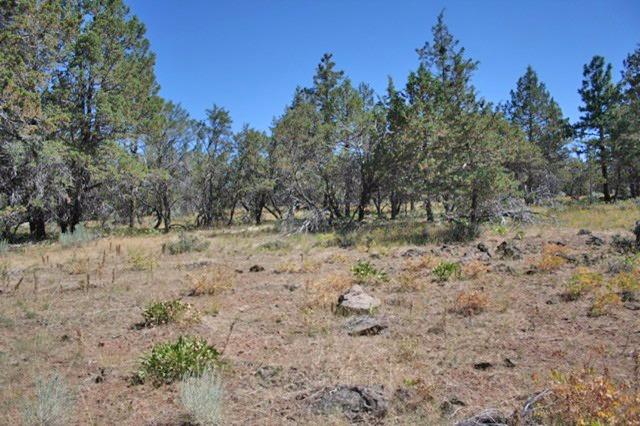 0-Lot 4 Wildhorse Dr, Bonanza, OR 97623
