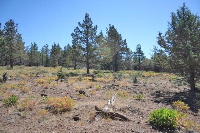 0-Lot 4 Wildhorse Dr, Bonanza, OR 97623